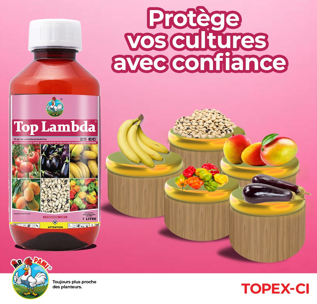 TOP LAMDA 1L