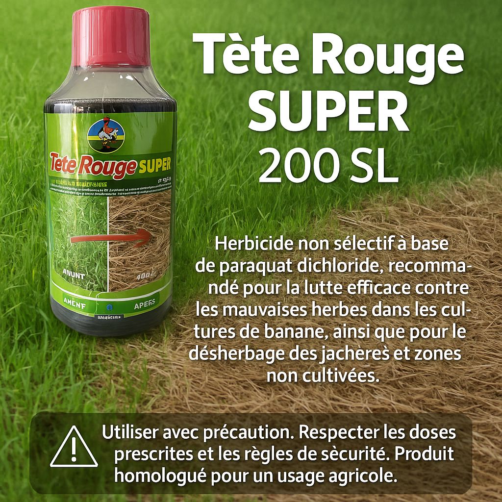 TETE ROUGE SUPER 1l