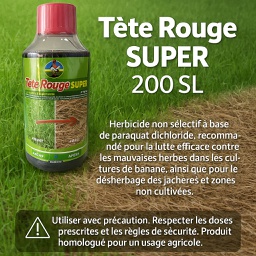TETE ROUGE SUPER 1l